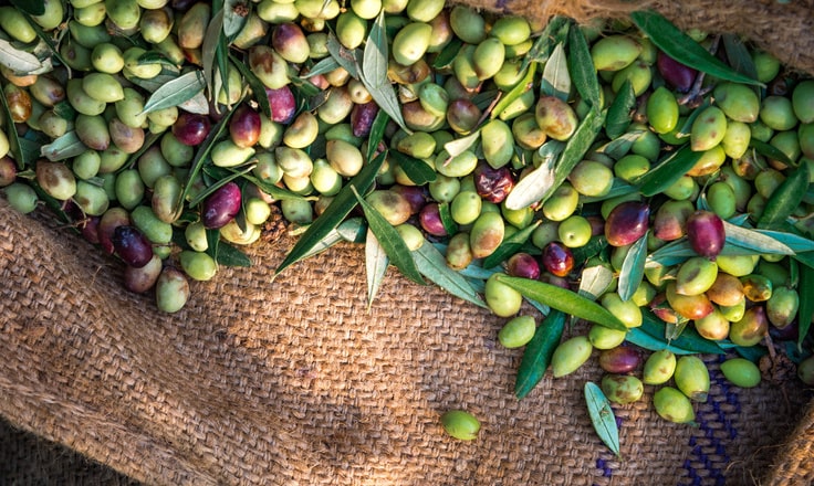 Monini chooses Comarch&rsquo;s EDI platform