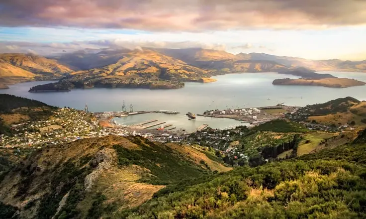New Zealand Proposes Mandatory E-Invoicing for High-Volume Public Agencies