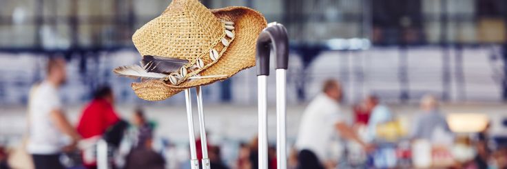 Introducing Data Hub &ndash; Comarch Loyalty Management for Travel