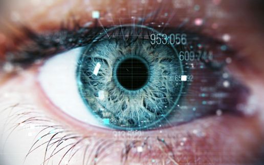 Can We Identify Loyalty Fraud with the Use of Machine Learning?